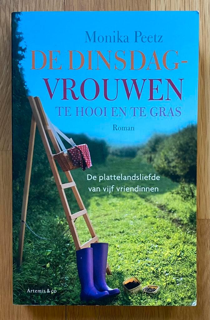 DE DINSDAGVROUWEN - Monika Peetz (2013), Boeken, Romans, Gelezen, Nederland, Verzenden
