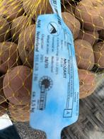 Pootaardappelen Mozart - Zak van 1.5 kg, Ophalen of Verzenden, Voorjaar, Volle zon, Knol