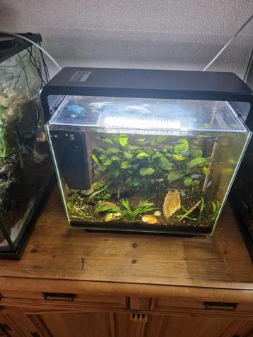 Superfish home 25 draaiend aquarium  beschikbaar voor biedingen