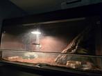 Terrarium 120x50x50 2x, Dieren en Toebehoren, Reptielen en Amfibieën | Toebehoren, Ophalen, Zo goed als nieuw, Terrarium of Paludarium