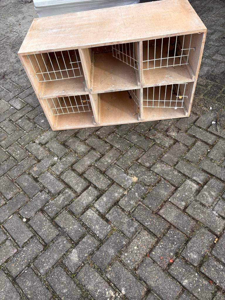 Kweekbakken/Duivinnen bakken, Dieren en Toebehoren, Vogels | Duiven, Postduif