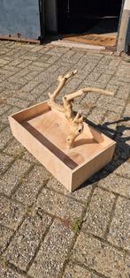 Javaboom, Meerdere dieren