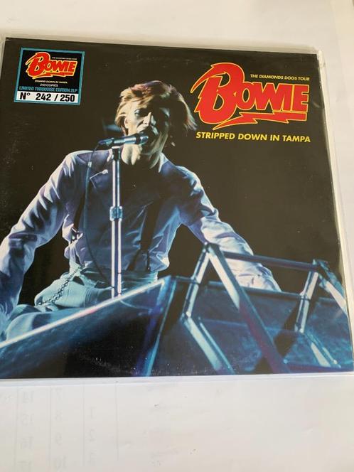 David Bowie - Stripped Down In Tampa ( 2 lp, ltd. ed.), Cd's en Dvd's, Vinyl | Rock, Zo goed als nieuw, Poprock, 12 inch, Ophalen