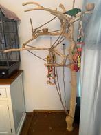 Javaboom voor kleine papegaaie, Ophalen of Verzenden, Zo goed als nieuw