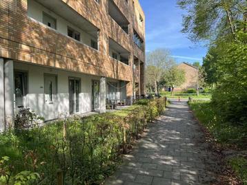 NIEUW! Woonruimte te huur Dierenriemstraat, Groningen beschikbaar voor biedingen