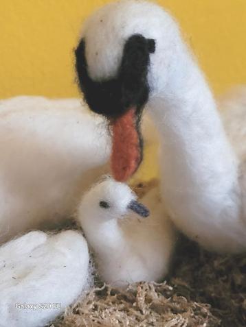 Waldorf genaaldvilt wolvilt lieflijke Zwanen familie beschikbaar voor biedingen