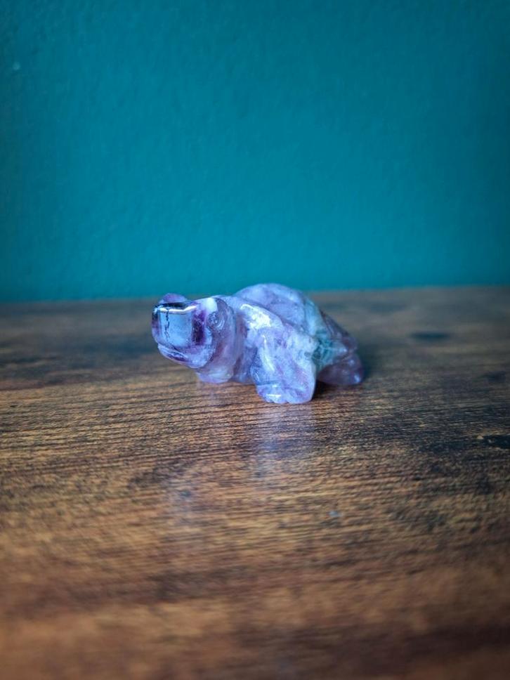 Schildpad fluoriet, Verzamelen, Mineralen en Fossielen, Verzenden