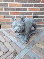 Betonbeeld Franse buldog, Tuin en Terras, Tuinbeelden, Ophalen, Nieuw, Beton, Dierenbeeld