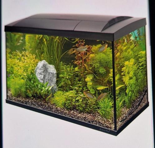 Superfish aquarium, Dieren en Toebehoren, Vissen | Aquaria en Toebehoren, Zo goed als nieuw, Leeg aquarium, Ophalen