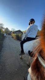 Verzorg/bijrijd paard gezocht, Dieren en Toebehoren, Ophalen, Nieuw