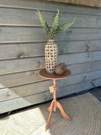Plantentafel Chestnut Marel, 45 tot 60 cm, Minder dan 55 cm, Verzenden, Rond