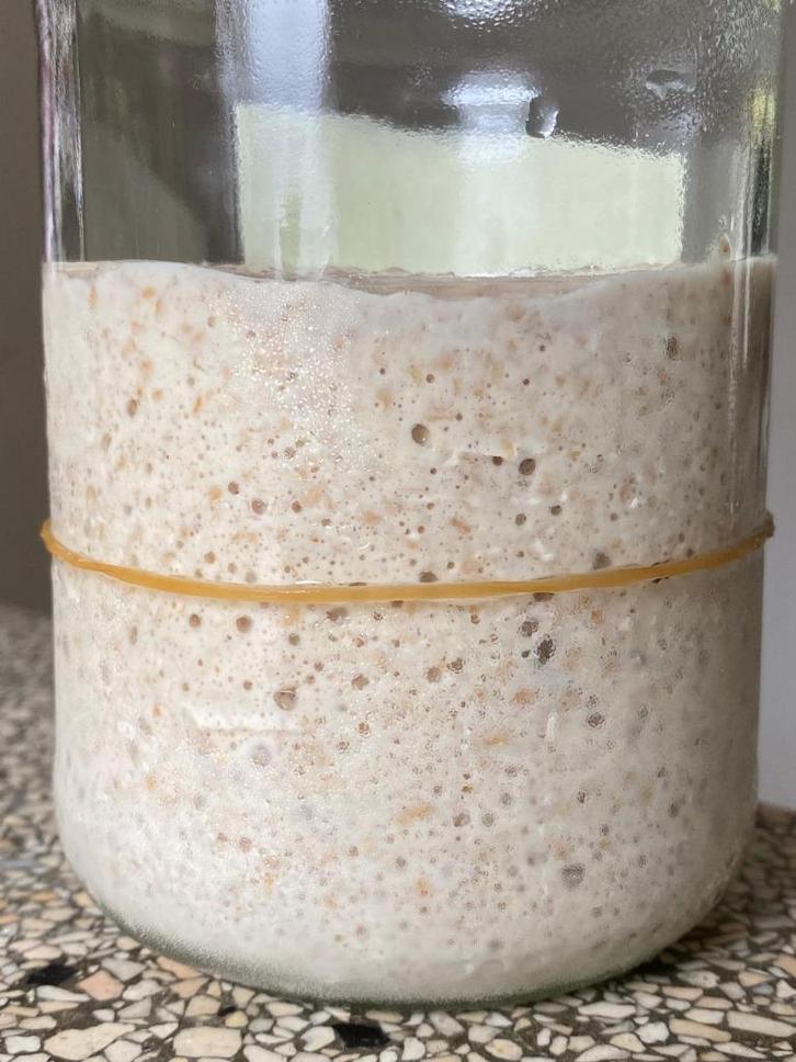 Zuurdesemstarter volkoren tarwemeel, Diversen, Levensmiddelen, Ophalen