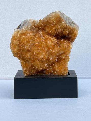 Citrien cluster op voet beschikbaar voor biedingen