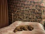 Ikea Leirvik 160 x 200 cm tweepersoons bed teab, Ophalen, Tweepersoons, 200 cm, 160 cm