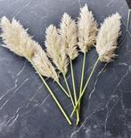 Mooie Pampas Pluimen voor Decoratie, Huis en Inrichting, Verzenden, Zo goed als nieuw