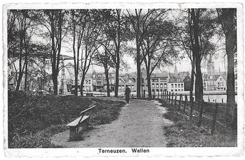 963712	Terneuzen	Wallen	1938	Gelopen met postzegel           beschikbaar voor biedingen