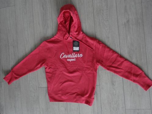 NIEUW! Cavallaro Elia Hoodie Maat S >Snelle Verzending!<, Kleding | Dames, Truien en Vesten, Nieuw, Maat 36 (S), Roze, Ophalen of Verzenden