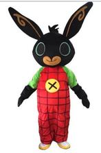 Bing Mascotte Te Huur, Hobby en Vrije tijd, Feestartikelen | Verhuur, Ophalen of Verzenden, Zo goed als nieuw, Verjaardag