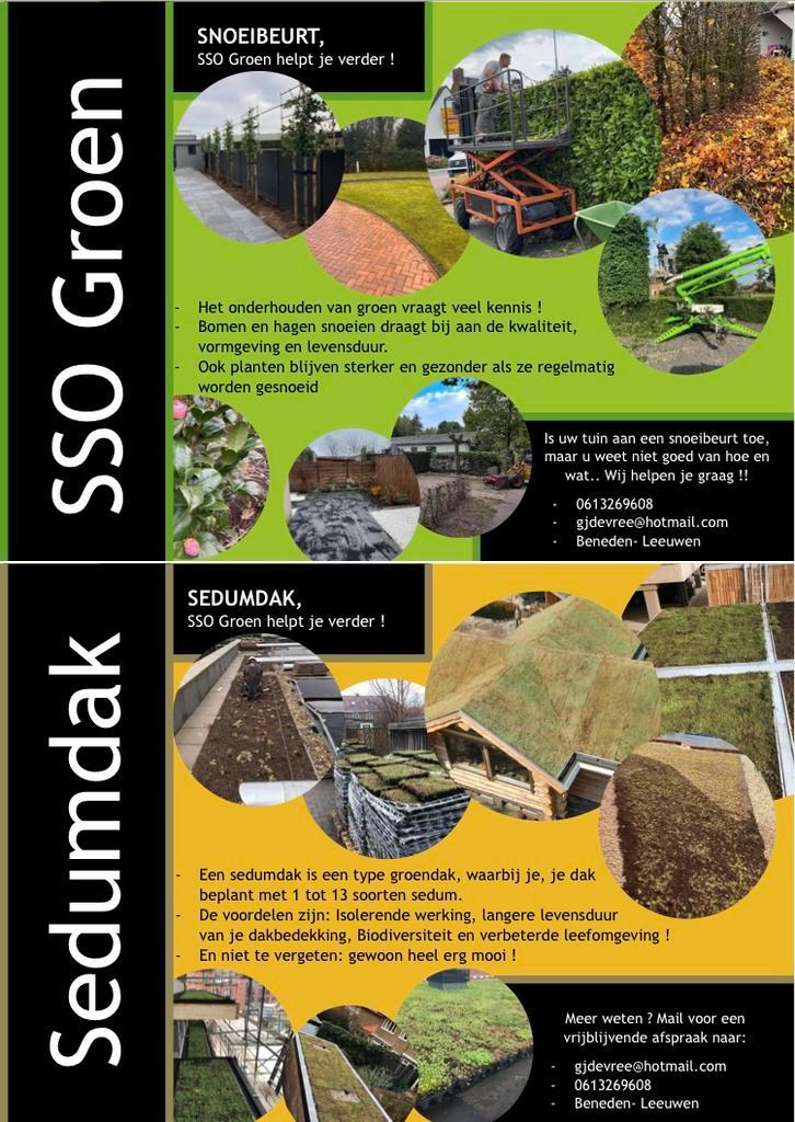 Snoeien van bomen en planten en scheren van hagen, Diensten en Vakmensen, Tuinmannen en Stratenmakers, Tuinonderhoud of Snoeiwerk
