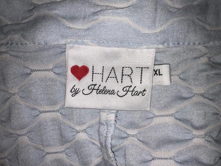 Helena Hart katoenen soepele lange blazer lichtblauw maat XL, Kleding | Dames, Jasjes, Kostuums en Pakken, Zo goed als nieuw, Maat 42/44 (L)