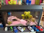 Aquarium 60cm, Dieren en Toebehoren, Vissen | Aquaria en Toebehoren, Ophalen of Verzenden, Zo goed als nieuw, Leeg aquarium