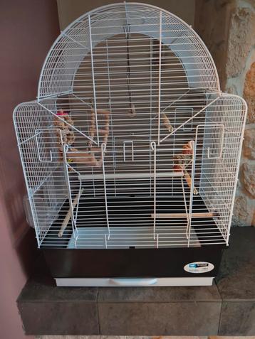 Complete vogelkooi beschikbaar voor biedingen
