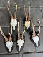 Reeschildjes, Verzamelen, Ophalen of Verzenden, Gebruikt, Paard, Overige typen