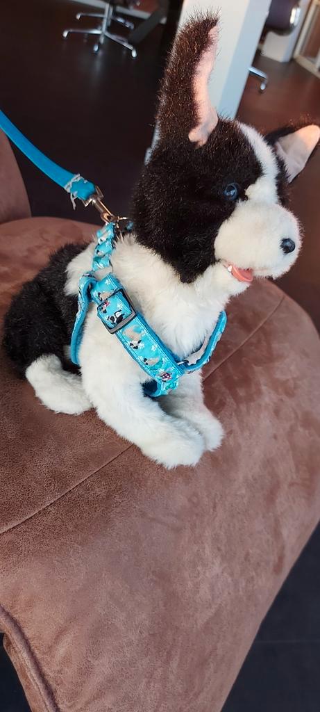 Honden tuigje met daarop mopshondjes + blauwe riem, Dieren en Toebehoren, Honden-accessoires, Gebruikt, Ophalen of Verzenden