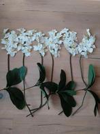 Orchideeën met bladeren, Ophalen of Verzenden, Zo goed als nieuw