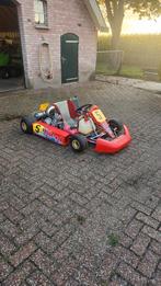 Birel schakelkart met pavesi 125cc motor blok (start snel), Sport en Fitness, Karting, Ophalen, Zo goed als nieuw, Kart