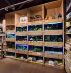 Aquariumstelling, Ophalen