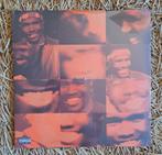 Frank Ocean Channel Orange vinyl lp, Ophalen of Verzenden, 2000 tot heden, Nieuw in verpakking, 12 inch