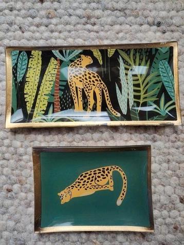 Schaaltjes met cheetahs beschikbaar voor biedingen