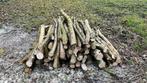 Brandhout, Tuin en Terras, Haardhout, Minder dan 3 m³, Ophalen, Overige houtsoorten, Stammen