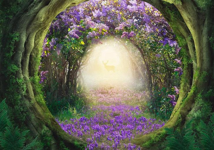 165 Natuur Paars Bloemen Vlies Fotobehang 350x250 in 3 maten, Huis en Inrichting, Stoffering | Behang, Blauw, Wit, Zwart, Beige