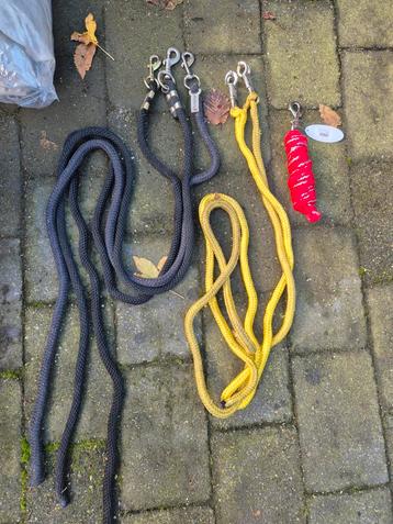 6 halstertouwen  beschikbaar voor biedingen