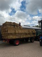 Stro en hooi balen kleine baaltjes strobale, Dieren en Toebehoren, Ophalen, Vee