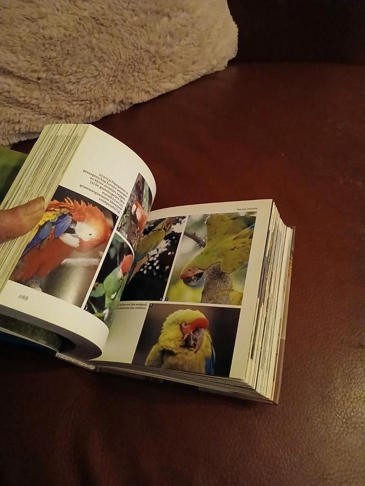 Vogels Kubus Boek - Prachtige Vogelgids, Boeken, Natuur, Zo goed als nieuw, Vogels, Ophalen of Verzenden