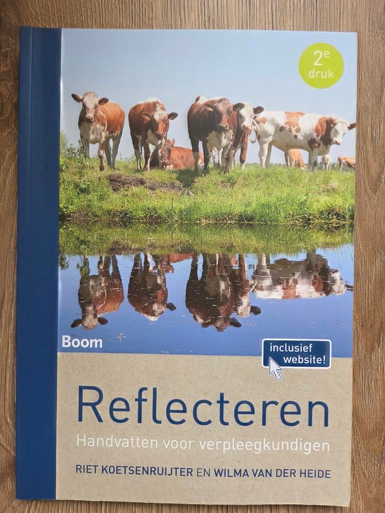 Reflecteren - Handvatten voor verpleegkundigen, Boeken, Riet Koetsenruijter en Wilma van der Heide, Zo goed als nieuw, Gamma, HBO