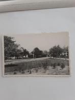 OOSTVOORNE   DONSELAER, Ophalen of Verzenden, Voor 1920, Zuid-Holland