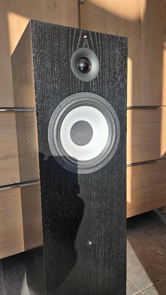 Cabasse Farella, Audio, Tv en Foto, Luidsprekers, Gebruikt, Front, Rear of Stereo speakers, 120 watt of meer, Overige merken, Ophalen