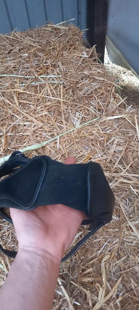 anatomisch hoofdstel nieuw, Dieren en Toebehoren, Paarden en Pony's | Hoofdstellen en Tuigage, Nieuw, Dressuur, Ophalen of Verzenden