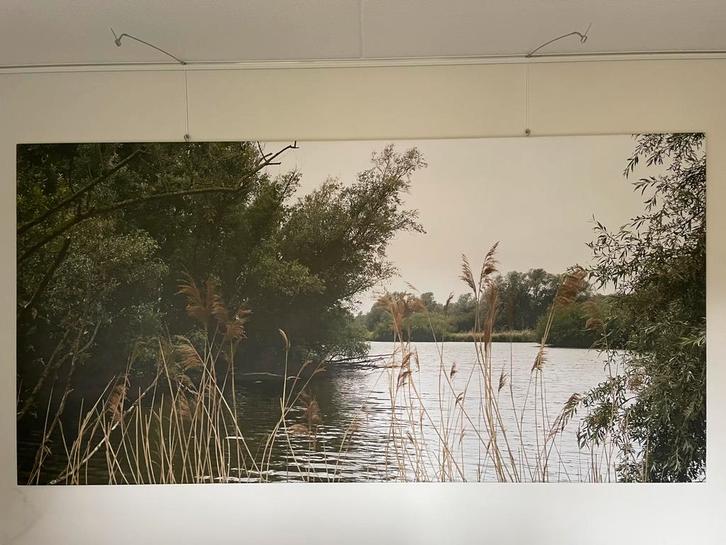 2 Bieschbosch landschappen op canvas 3,2x1,6m, Antiek en Kunst, Kunst | Schilderijen | Abstract, Ophalen