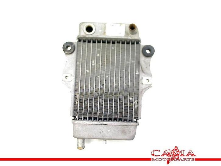 RADIATEUR Honda SES 150 Dylan (SES150) (01-1970/-) (614030), Motoren, Onderdelen | Honda, Gebruikt