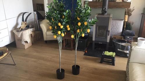 Grote citroenbomen kunst, Huis en Inrichting, Woonaccessoires | Kunstplanten en Kunstbloemen, Nieuw, Binnen, Ophalen of Verzenden