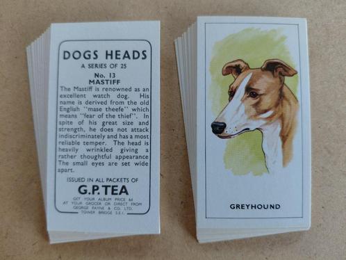 Dogs Heads complete set 25 tea cards honden  G.P Tea 1963, Verzamelen, Overige Verzamelen, Ophalen