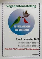 Vogeltentoonstelling oud Vossemeer, Meerdere dieren, Kleurkanarie