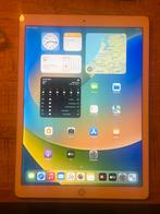 iPad Pro 12.9" 2e Gen 256GB met Simkaart + Oplader, Computers en Software, Apple iPads, Gebruikt, 12 inch, Ophalen of Verzenden