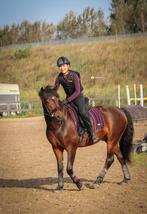 bijrijder gezocht voor bombproof D-pony!, Dieren en Toebehoren, Paarden en Pony's | Overige Paardenspullen, Ophalen of Verzenden