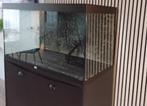 aquarium 240 liter met co2 systeem etc, Dieren en Toebehoren, Vissen | Aquaria en Toebehoren, Ophalen, Gebruikt, Leeg aquarium